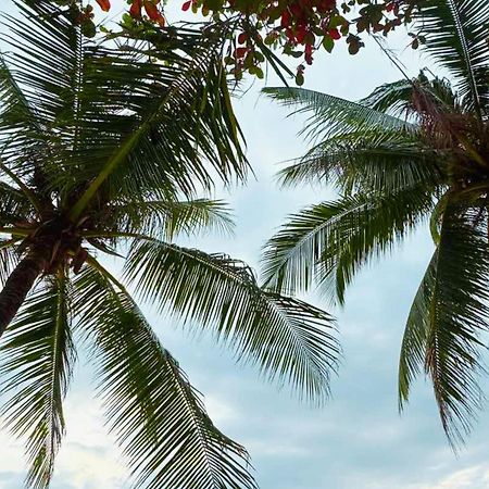 The Muse Hotel Boracay Balabag  Dış mekan fotoğraf