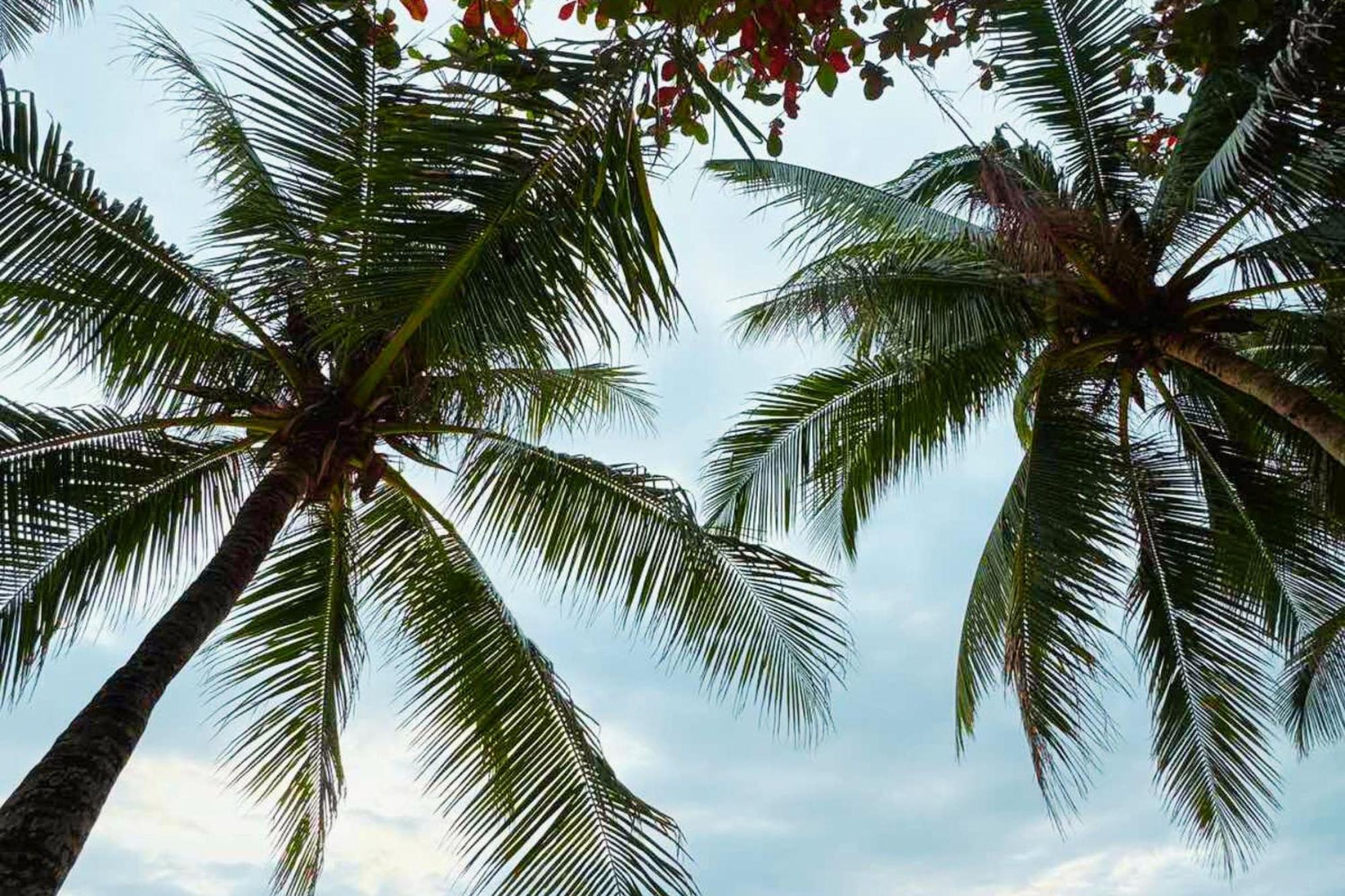 The Muse Hotel Boracay Balabag  Dış mekan fotoğraf